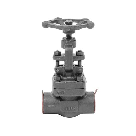 High Pressure Dn40 800lb 2 A105 Sw End Forged Globe Valve China Stainless Steel Globe Valve