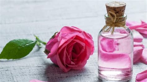 Unlocking the Beauty Secrets: Rose Water Benefits for Face