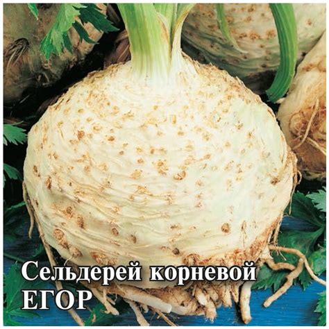 Семена Сельдерей корневой Егор, 25г, Гавриш, Фермерское подворье по ...
