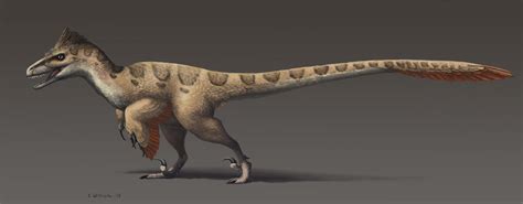 Utahraptor Size Comparison by LouJunior on DeviantArt