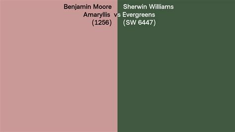 Benjamin Moore Amaryllis 1256 Vs Sherwin Williams Evergreens SW 6447