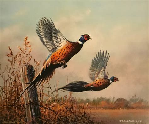 Pheasant Flying Art