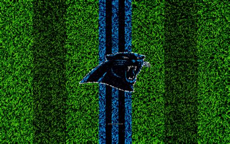 Download wallpapers Carolina Panthers, logo, 4k, grass texture, emblem ...