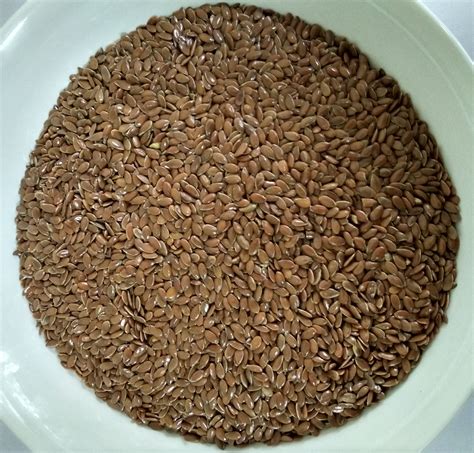 Flax seed - Veer International