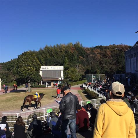 高知競馬場で逢おう 府中白糸台日記