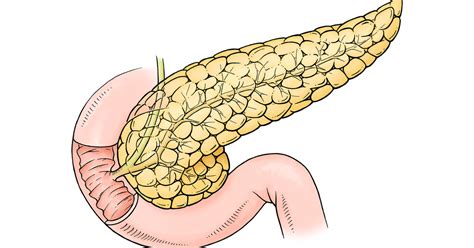 Clinica Pancreas Svizzera