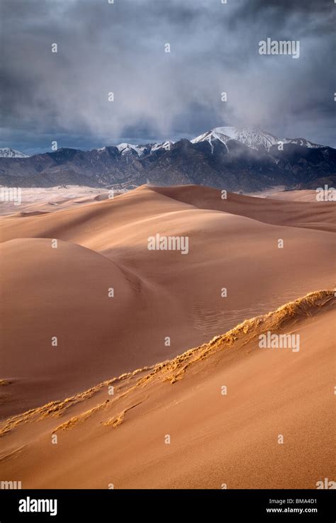 Rain Over Dunefield With Sangre De Cristo Mountains Great Sand Dunes