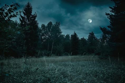 Beautiful Landscape In The Moonlight Full Moon Over Forest Premium AI