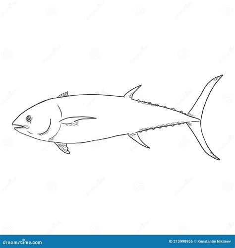 Tuna Sketch Fish Vector Illustration Stock Vector - Illustration of ...