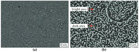 Microstructures Sem Bsd Of The Al Cocrfeninb Sps Bulk