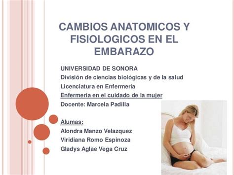 Cambios Anatómicos Y Fisiológicos En El Embarazo