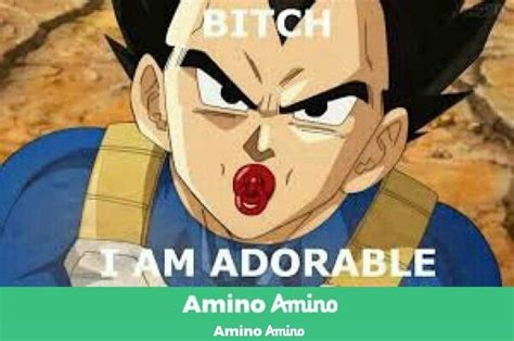 Memes De Vegeta 🌱 Dragon Ball EspaÑol Amino