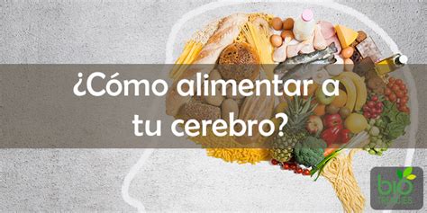 5 Alimentos Para Cuidar Tu Cerebro Comida Para El Cerebro