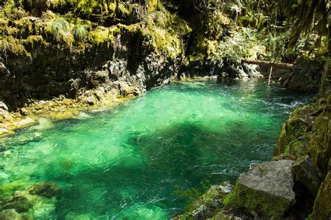 Opal Pool Oregon Free Photo Rawpixel