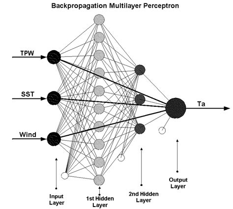 Schematic Representation Of The Artificial Neural Network Ann Download Scientific Diagram