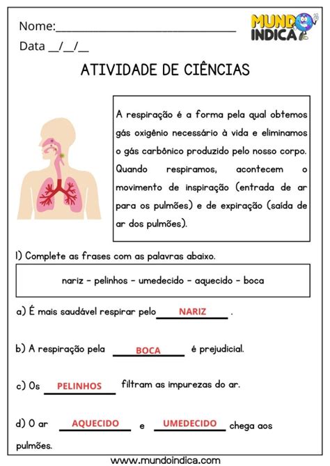 Texto De Ciências 5 Ano Com Perguntas E Respostas - 20 Atividades de Ciências para 5 ano Ensino Fundamental com Respostas