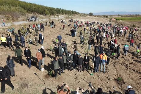 Bin Fidan Bergama Da Toprakla Bulu Tu Son Dakika