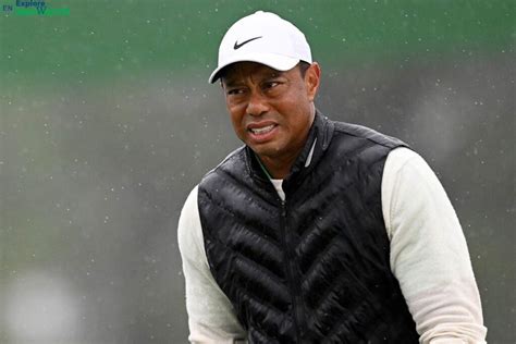 tigers net worth