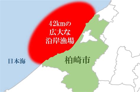 新潟県柏崎市の42km海岸線が育んだ 柏崎市の海の幸｜ふるさとチョイス ふるさと納税サイト