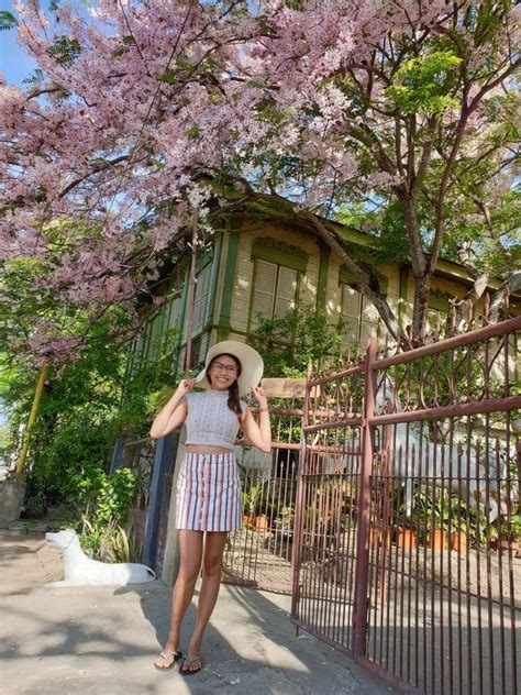 LOOK: Filipinos Can Grow Their Own Cherry Blossoms In Their Backyard ...