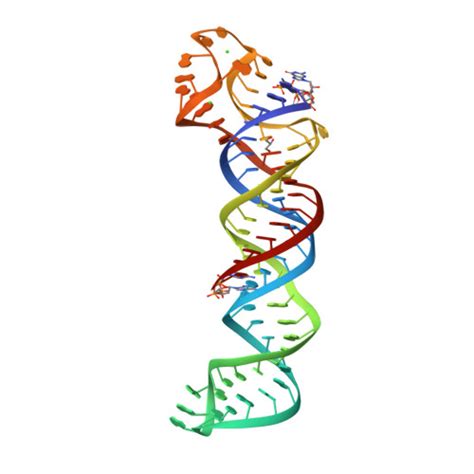 RCSB PDB 6SVS Crystal Structure Of U A U Rich RNA Triple Helix With