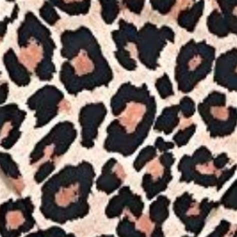 Omkagi Swim Omkagi Leopard Print Bandeau Bikini Poshmark