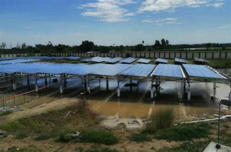 Airtel Commissions Solar Power Plant For Its Up Data Centres