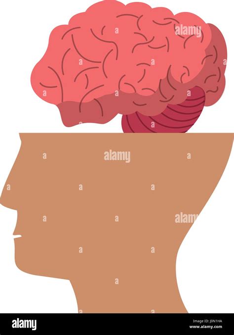 Menschliche Gehirn Kopf Idee Symbol Stock Vektorgrafik Alamy