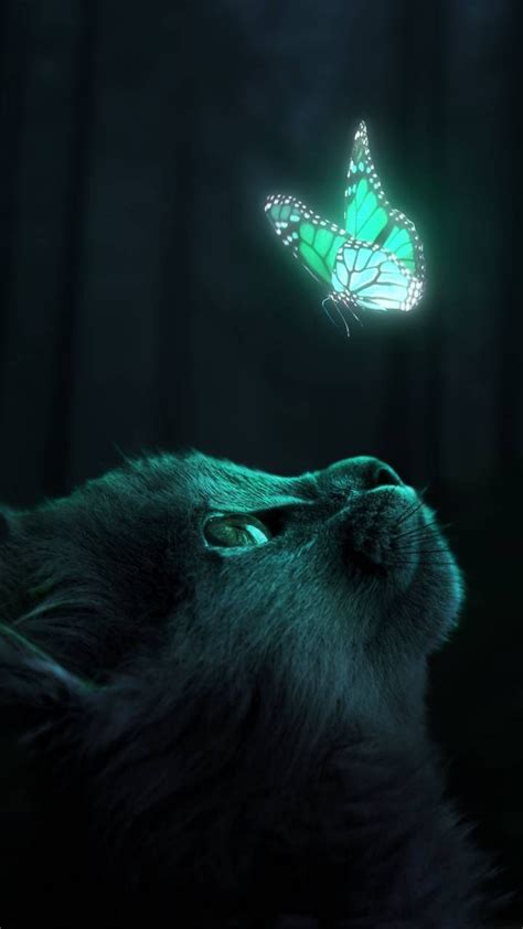 Glowing Cat Wallpaper