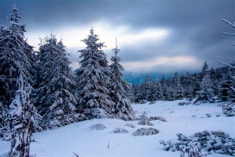 Krkonose, Czech republic stock photo. Image of afternoon - 109573894