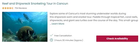 13 Best Cancun Snorkeling Tours & Experiences [2022] - Every Steph