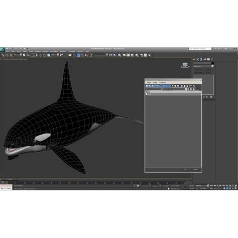 Orca 3d Model 99 Max 3ds Lwo Obj C4d Ma Free3d