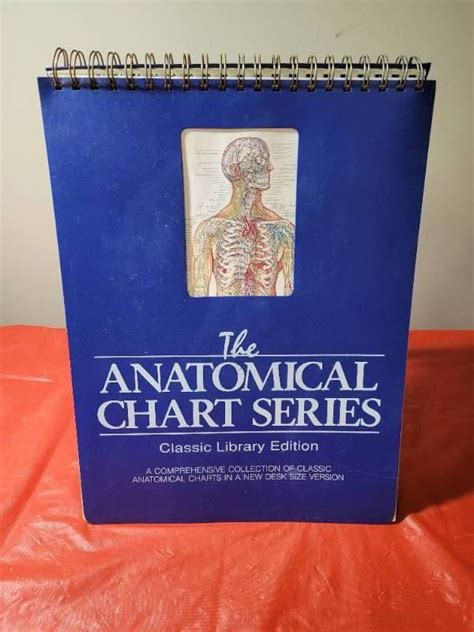 anatomical chart series