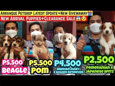 Arranque Petshop Latest Update May New Arrival Puppies Sa Arranque