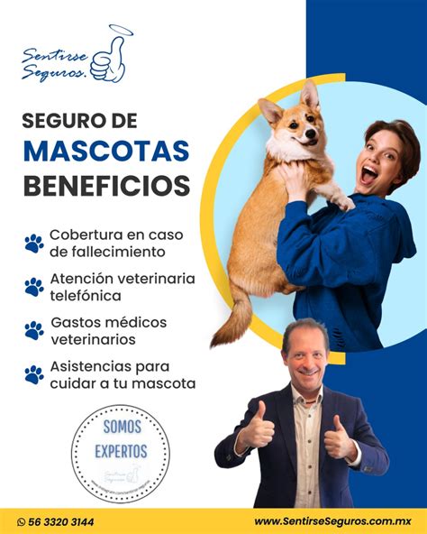 Son Seguros Para Tu Perro