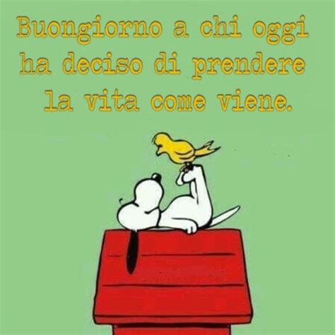 Pin Di Rodovar Su Snoopy Cit Buongiorno Divertente Buongiorno