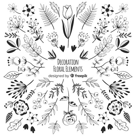 Elementos Decorativos Florales Dibujados A Mano Vector Gratis