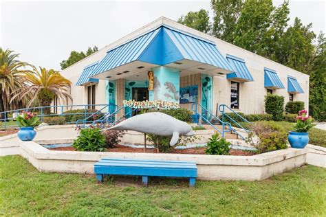 Crystal River: Manatee Snorkel Tour w/ In-Water Photographer | GetYourGuide