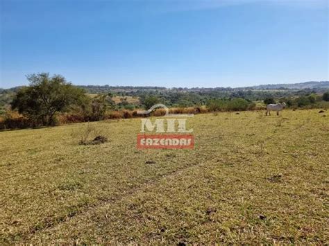 Fazenda De 21 5 Alqueires 104 Hectares Em Trindade GO Terrenos