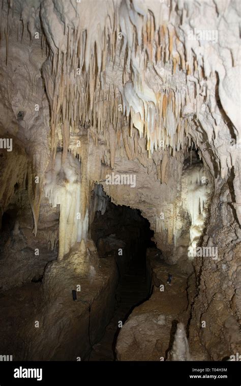 Waitomo Glowworm Caves, interior, Otorohanga, Waikato, North Island, New Zealand Stock Photo - Alamy