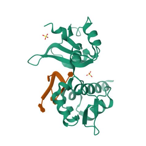 Rcsb Pdb Vop Crystal Structure Of N Terminal Domains Of Human La