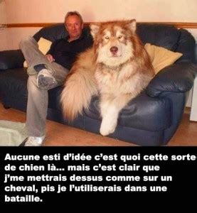 Petit incident qui arrive quand ta blonde et ta soeur ont le même nom