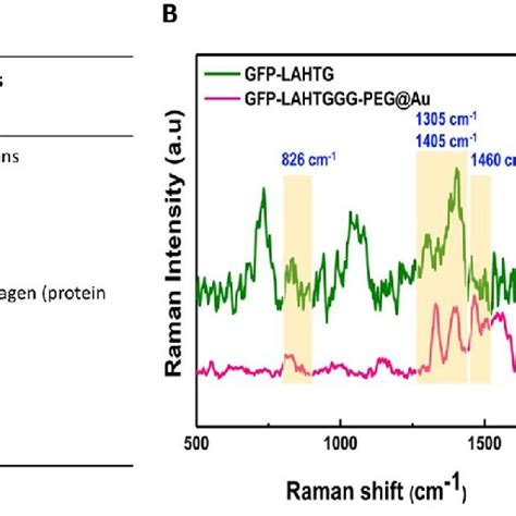 Raman Spectrum Of Gfp And Xylb A Table Showing Raman Spectroscopy