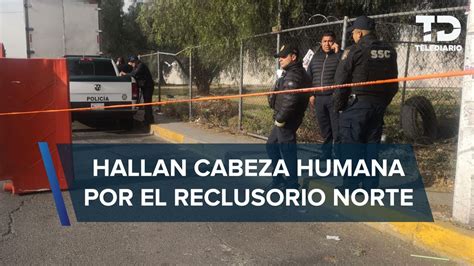 Encuentran Cabeza Humana Dentro De Una Hielera En Las Inmediaciones Del