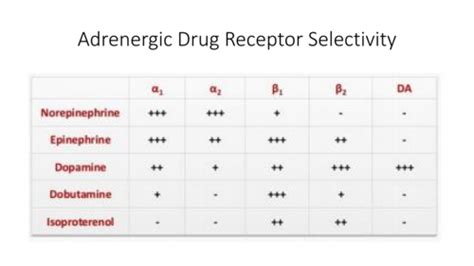 VMB 933 Pharmacology: Alpha & Beta Adrenergic Agonist Drugs Flashcards ...