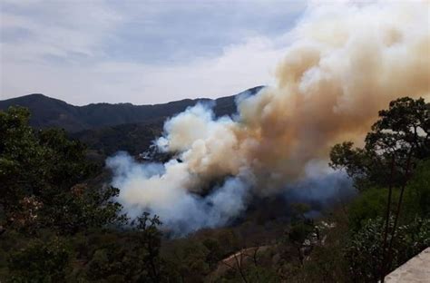 Incendio Forestal En Pinal Ha Consumido H Ctareas Familias