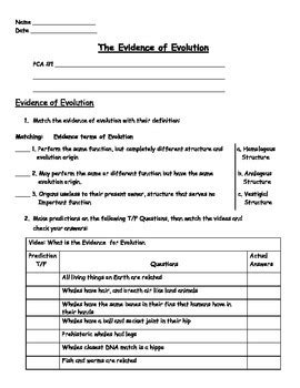 Evolution Worksheet.pdf