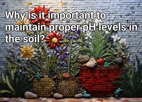 Why is it important to maintain proper pH levels in the soil ...