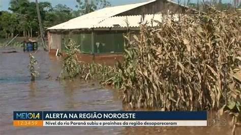 Defesa Civil alerta moradores por cheias do Rio Paraná população pode