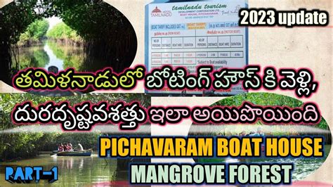 Pichavaram Mangrove Forest Boat House View Boating House Near